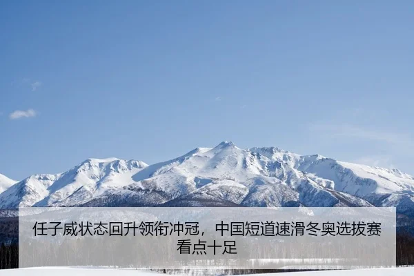 ren-zi-wei-zhuang-tai-hui-sheng-ling-xian-chong-guan-zhong-guo-duan-dao-su-hua-dong-ao-xuan-ba-sai-kan-dian-shi-zu-2-698.jpg
