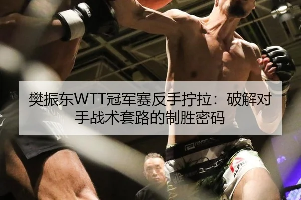 樊振东WTT冠军赛反手拧拉：破解对手战术套路的制胜密码