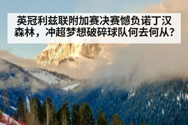 英冠利兹联附加赛决赛憾负诺丁汉森林,冲超梦想破碎球队何去何从?